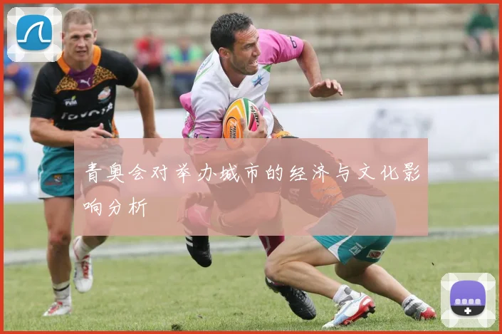 青奥会对举办城市的经济与文化影响分析